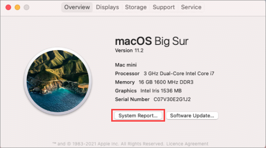 Creating the report on macOS Big Sur