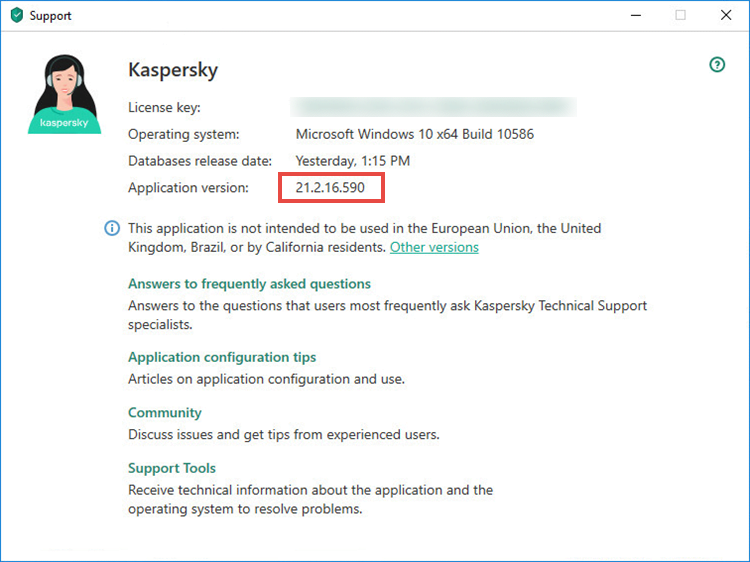 The Support window in a Kaspersky application