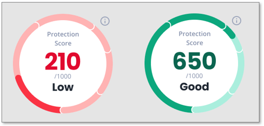 Protection scores showing 210, and 650.