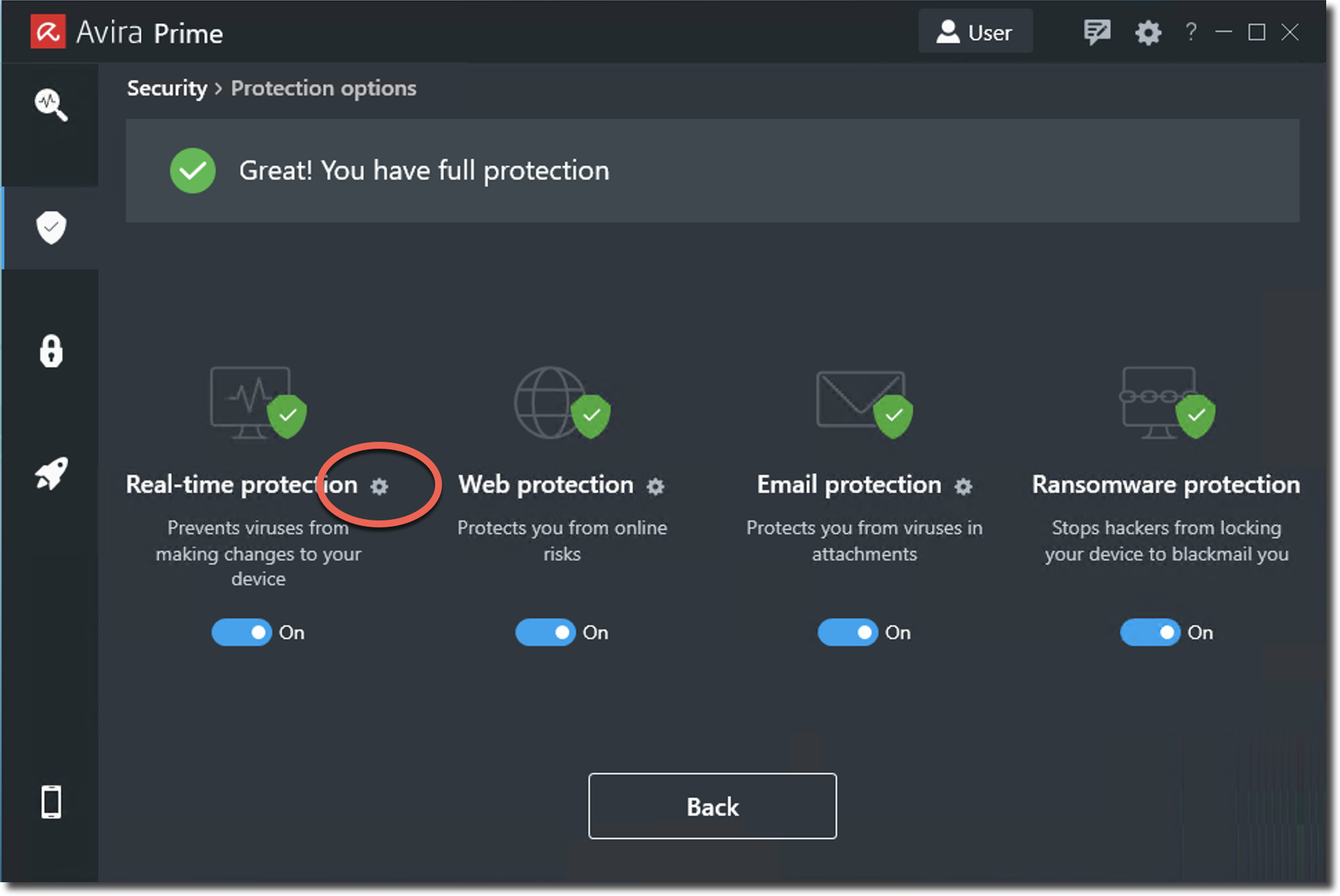 avira-security-protection_options-en.png